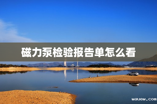 磁力泵检验报告单怎么看