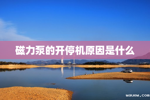 磁力泵的开停机原因是什么