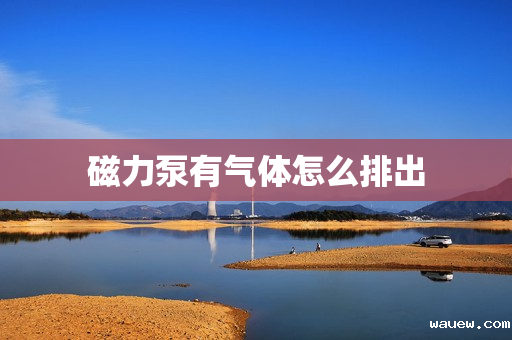 磁力泵有气体怎么排出