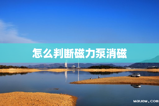 怎么判断磁力泵消磁