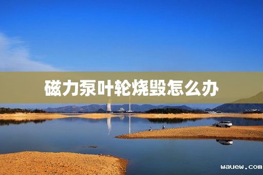 磁力泵叶轮烧毁怎么办