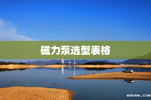 磁力泵选型表格