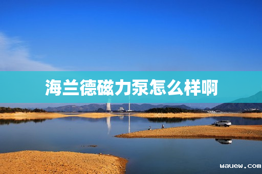 海兰德磁力泵怎么样啊