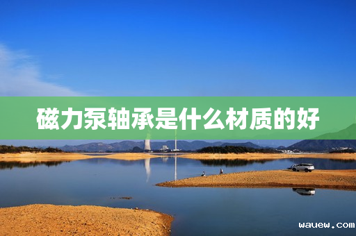 磁力泵轴承是什么材质的好