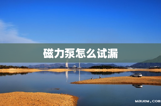 磁力泵怎么试漏