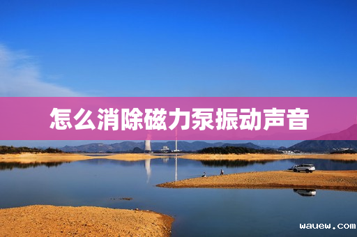 怎么消除磁力泵振动声音