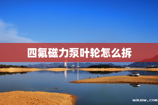 四氟磁力泵叶轮怎么拆