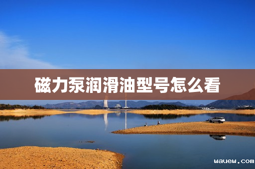 磁力泵润滑油型号怎么看