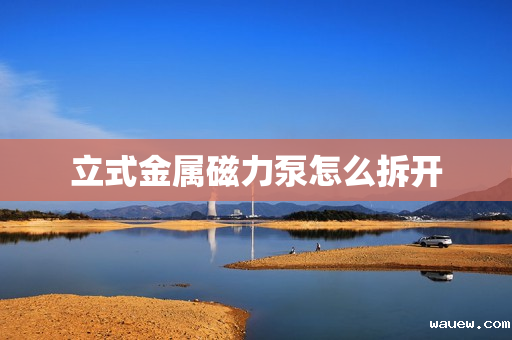 立式金属磁力泵怎么拆开