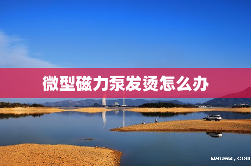 微型磁力泵发烫怎么办