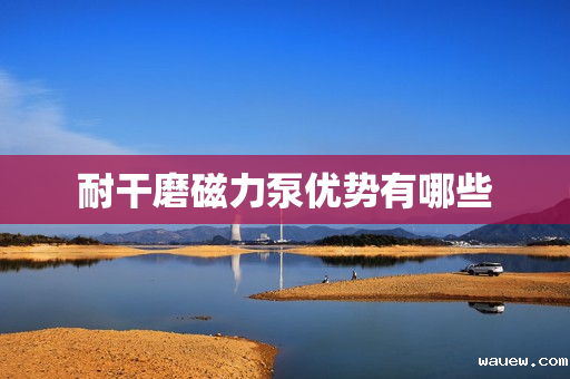 耐干磨磁力泵优势有哪些