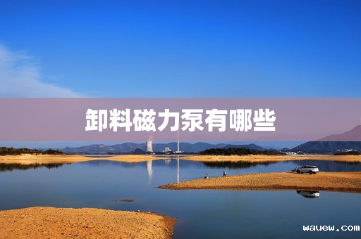 卸料磁力泵有哪些