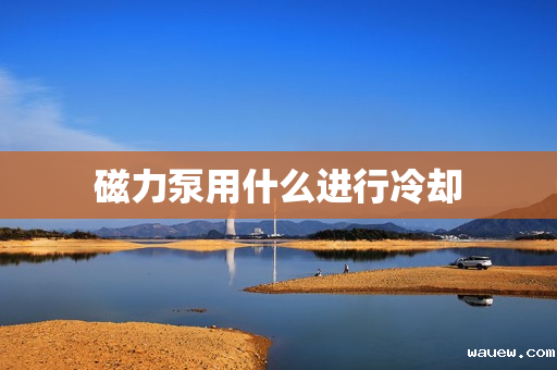 磁力泵用什么进行冷却