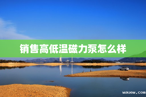 销售高低温磁力泵怎么样