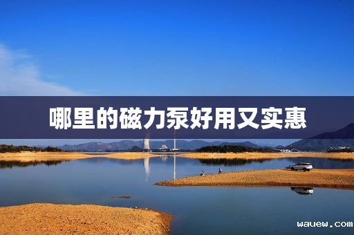 哪里的磁力泵好用又实惠