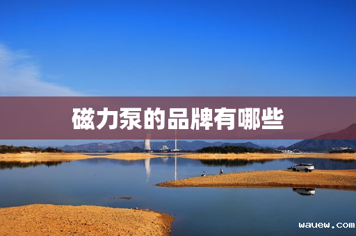 磁力泵的品牌有哪些