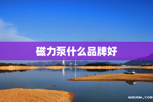 磁力泵什么品牌好