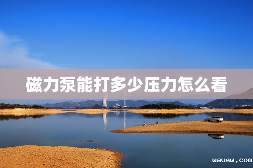 磁力泵能打多少压力怎么看