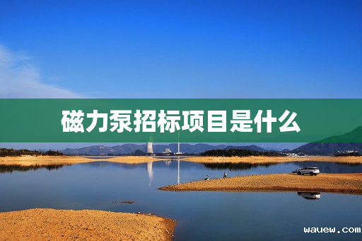 磁力泵招标项目是什么
