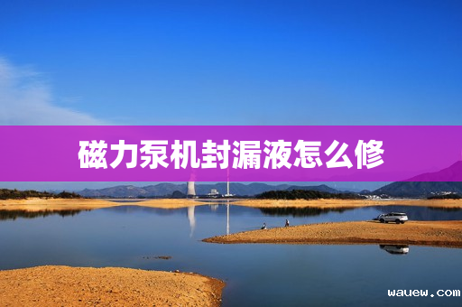 磁力泵机封漏液怎么修