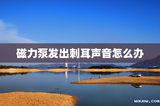 磁力泵发出刺耳声音怎么办