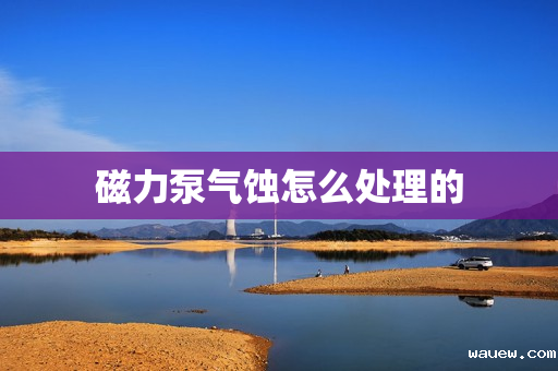 磁力泵气蚀怎么处理的