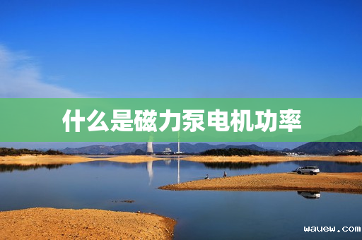 什么是磁力泵电机功率