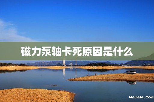 磁力泵轴卡死原因是什么