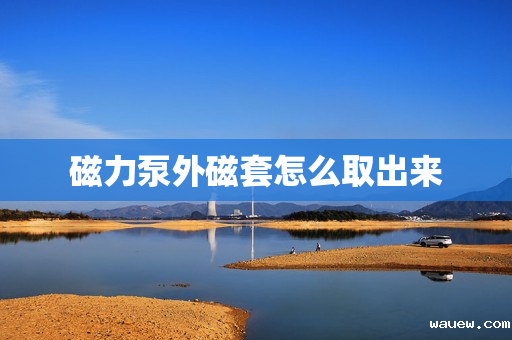 磁力泵外磁套怎么取出来