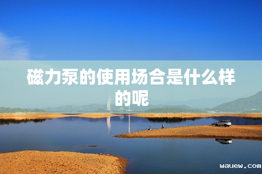 磁力泵的使用场合是什么样的呢