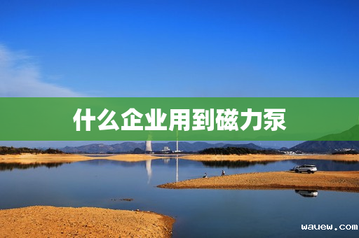 什么企业用到磁力泵