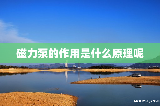 磁力泵的作用是什么原理呢