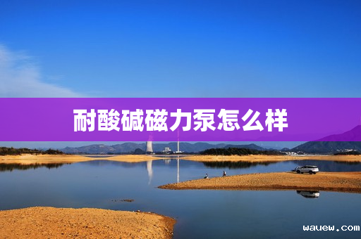 耐酸碱磁力泵怎么样