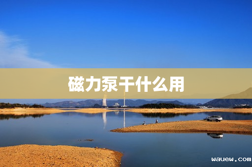 磁力泵干什么用