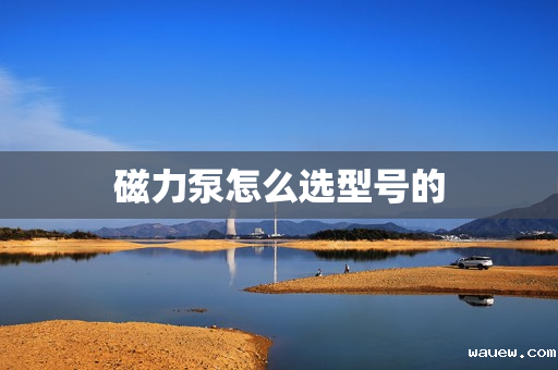 磁力泵怎么选型号的