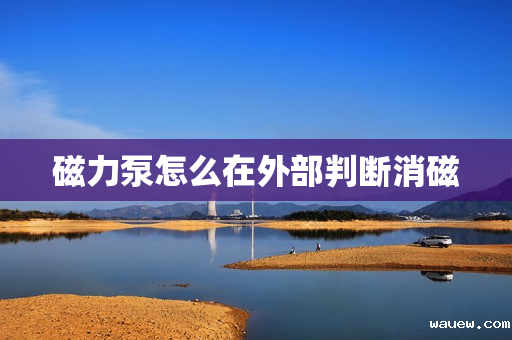 磁力泵怎么在外部判断消磁