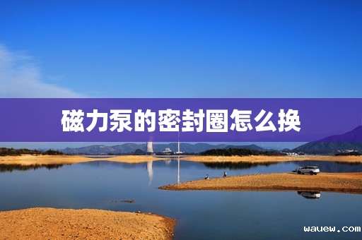 磁力泵的密封圈怎么换