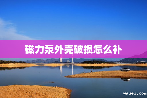 磁力泵外壳破损怎么补