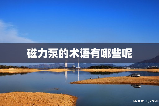 磁力泵的术语有哪些呢