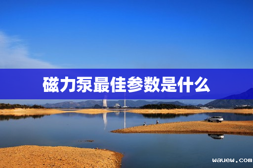 磁力泵最佳参数是什么