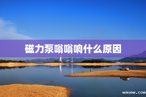 磁力泵嗡嗡响什么原因