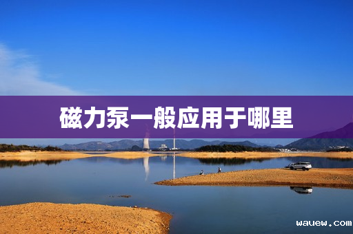 磁力泵一般应用于哪里