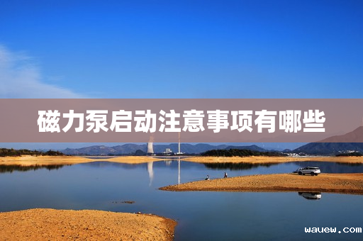 磁力泵启动注意事项有哪些