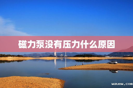 磁力泵没有压力什么原因