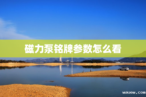 磁力泵铭牌参数怎么看