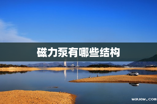 磁力泵有哪些结构