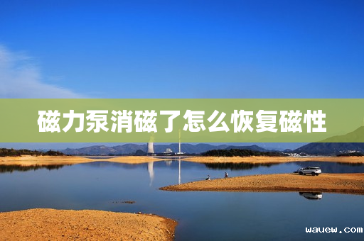 磁力泵消磁了怎么恢复磁性