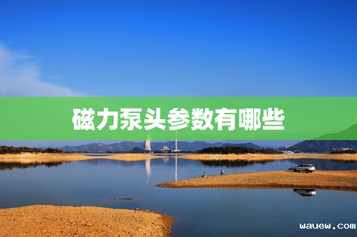 磁力泵头参数有哪些