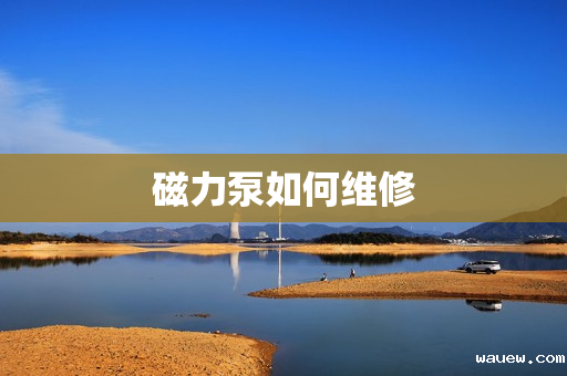 磁力泵如何维修