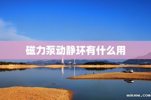 磁力泵动静环有什么用